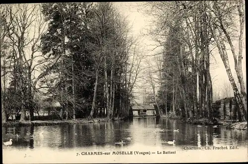 Ak Charmes sur Moselle Vosges, Le Battant, See