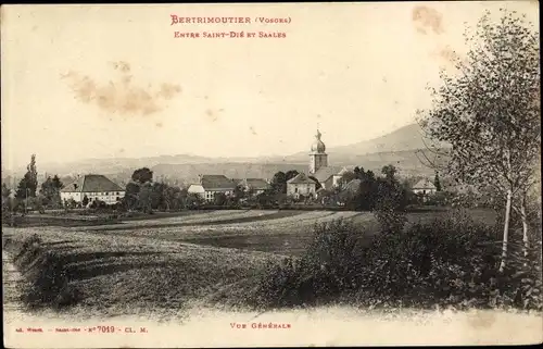 Ak Bertrimoutier Vosges, Entre Saint-Die et Saales, Gesamtansicht