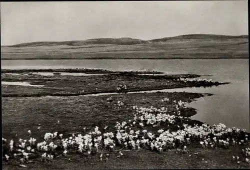 Ak Russland, Sibirien, Tundra