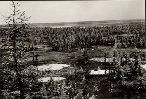 Ak Russland, Sibirien, Taiga