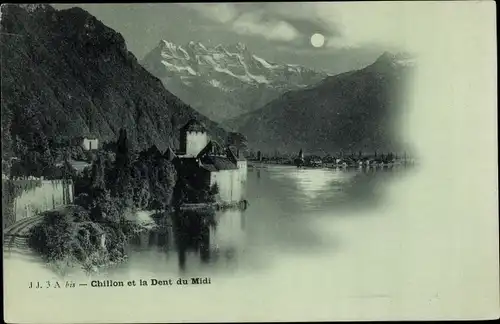 Mondschein Ak Chillon Kanton Waadt, Teilansicht, La Dent du Midi