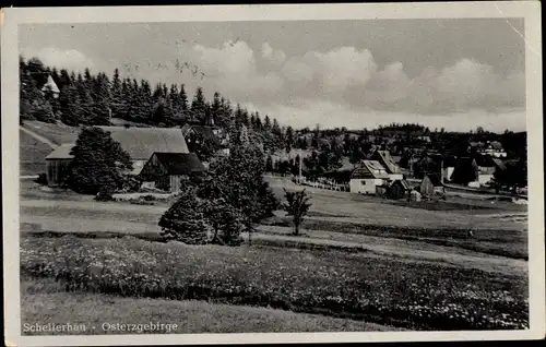 Ak Schellerhau Altenberg im Erzgebirge, Blick auf den Ort