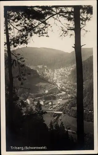 Ak Triberg im Schwarzwald, Blick durch Bäume auf den Ort