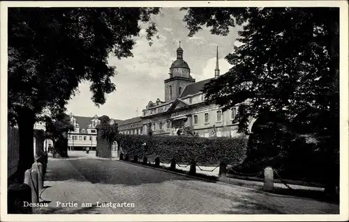 Ak Dessau in Sachsen Anhalt, Partie am Lustgarten