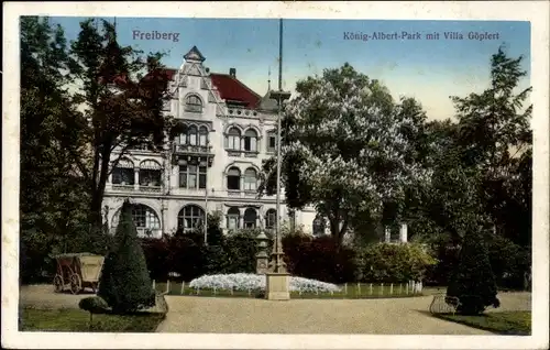 Ak Freiberg im Kreis Mittelsachsen, König Albert Park mit Villa Göpfert