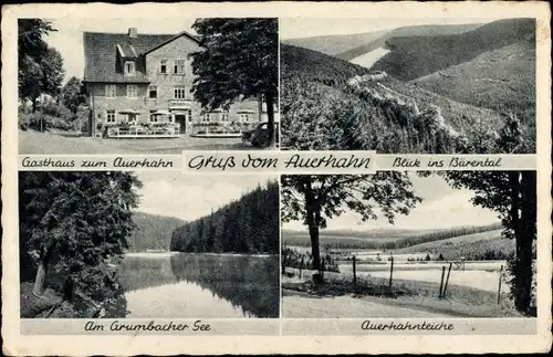 Ak Auerhahn Hahnenklee Goslar am Harz, Zum Auerhahn, Auerhahnteiche, Bärental, Gasthaus z. Auerhahn