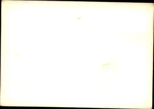 Ak Hamburg, Schnelldampfer Europa, NDL, Schleppboote