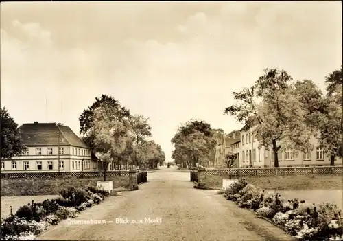 Ak Oranienbaum Wörlitz in Anhalt, Markt