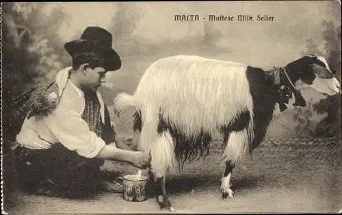 Ak Macta Malta, Maltese Milk Seller, Ziege wird gemolken