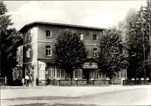 Ak Neudorf Harzgerode am Harz, Gaststätte Waldblick
