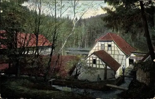 Ak Eisenberg in Thüringen, Waldpartie mit Blick auf die Froschmühle