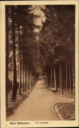 Ak Bad Oldesloe in Schleswig Holstein, Partie im Kurpark, Allee