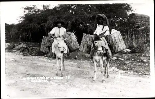 Ak Südamerika, Arbeiter auf Eseln sitzend mit Körben voller Ernte