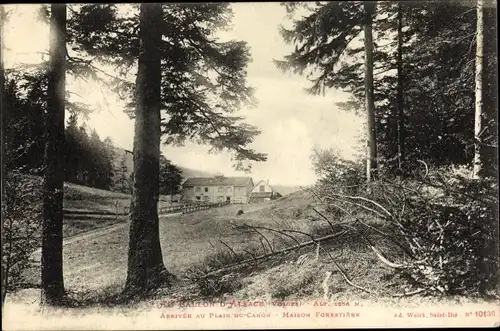 Ak Plain du-Canon Vosges, Maison Forestiere, Wald, Hütte