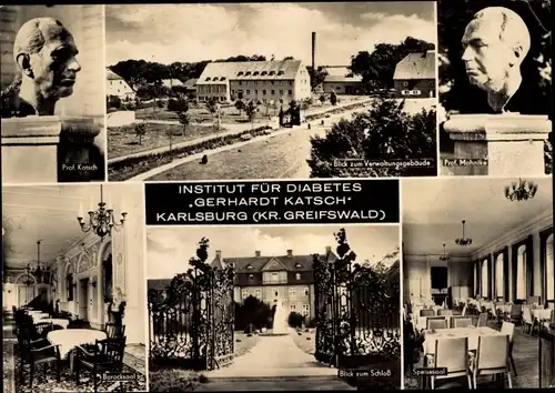 Ak Karlsburg in Vorpommern, Institut für Diabetes Gerhardt Katsch, Büsten der Professoren, Schloss