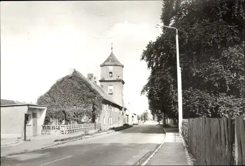 Ak Altjeßnitz Alt Jessnitz Jeßnitz in Anhalt, Hauptstraße am Park