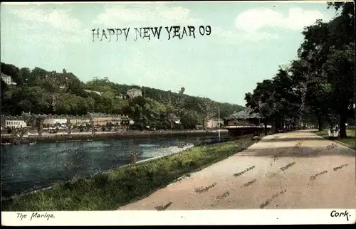 Ak Cork Irland, the Marina, Happy New Year 09