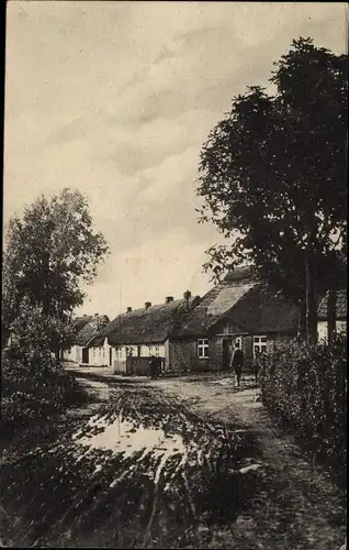 Ak Wiek auf Rügen, Blick auf eine Straße, Häuser, Bäume