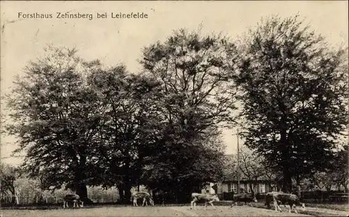 Ak Leinefelde im Eichsfeld, Forsthaus Zehnsberg