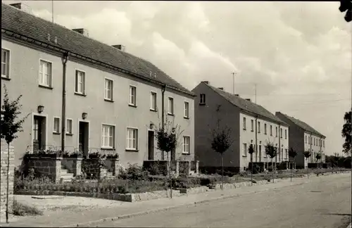 Ak Elsterwerda in Brandenburg, Straßenpartie Rotdornweg