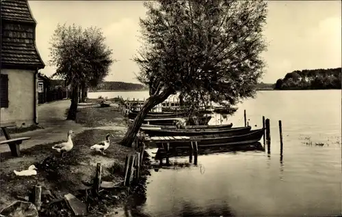 Ak Lychen in der Uckermark, Partie Am Oberpfuhl, Anleger, Boote, See