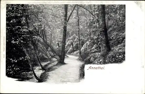 Ak Lutherstadt Eisenach in Thüringen, Waldpartie im Annathal