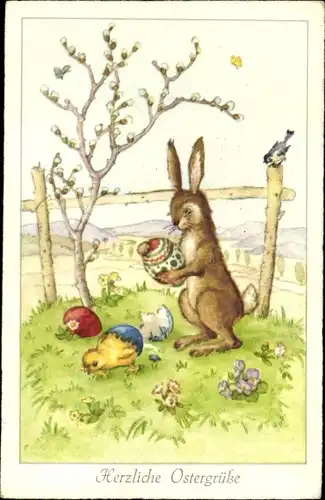Ak Glückwunsch Ostern, Weidenkätzchen, Osterhase, Küken schlüpft aus