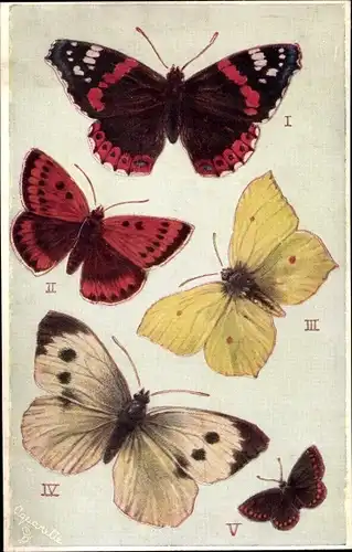 Präge Ak Buterflies on the Wing, Schmetterlinge, Red Admiral, Brimstone, Large White