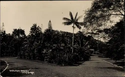 Foto Ak Singapore Singapur, Botanical Garden, Botanischer Garten
