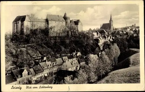 Ak Leisnig in Sachsen, Teilansicht mit Schloss, Blick vom Lichtenberg