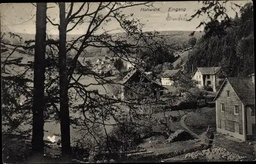 Ak Le Hohwald Elsass Bas Rhin, Eingang, Teilansicht