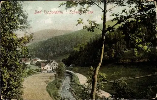 Ak Bad Rippoldsau Schapbach im Schwarzwald, Waldpartie, Bach