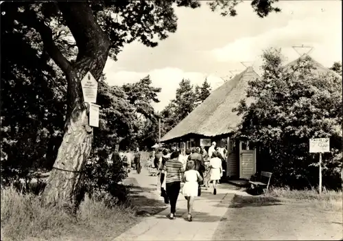 Ak Ludwigsburg Loissin in Vorpommern, Strandweg