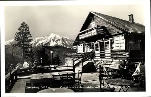 Ak Pernitz Niederösterreich, Schneeberg, Gastwirtschaft Am Hals