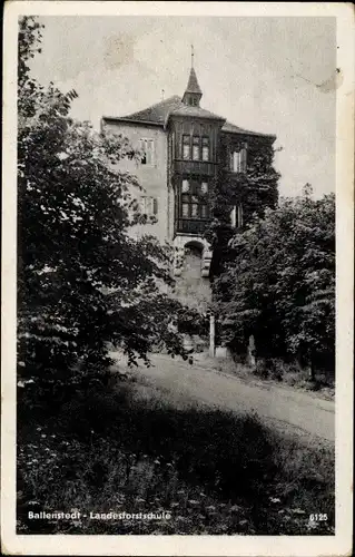 Ak Ballenstedt im Harz, Landesforstschule, Außenansicht