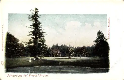 Ak Friedrichroda im Thüringer Wald, Tanzbuche, Blick über den See