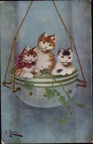 Künstler Ak Stout, Drei kleine Katzen in einer Blumenampel