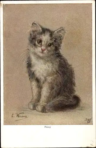Künstler Ak Kleine graue Katze, Pussy
