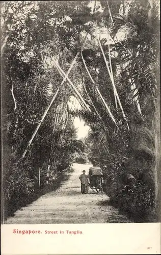 Ak Tanglia Singapore Singapur, Palmen Allee, Rikscha mit Fahrer