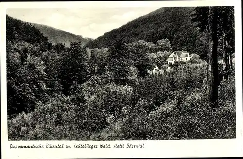 Ak Kohlstädt Schlangen im Teutoburger Wald, Hotel Bärental