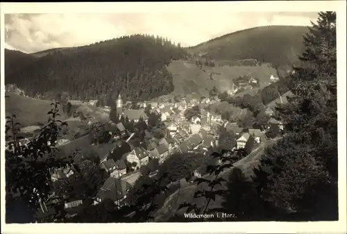 Ak Wildemann Clausthal Zellerfeld im Oberharz, Teilansicht