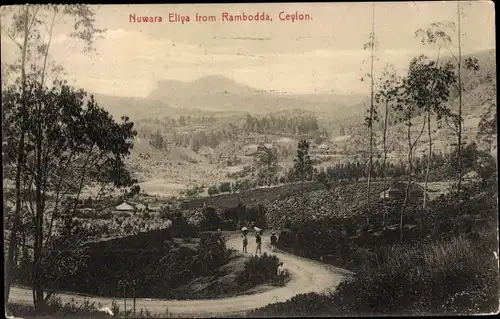 Ak Ceylon Sri Lanka, Nuwara Eliya from Rambodda