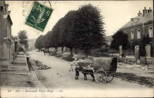 Ak Eu Seine Maritime, Boulevard Victor Hugo, Junge mit Pferdekutsche