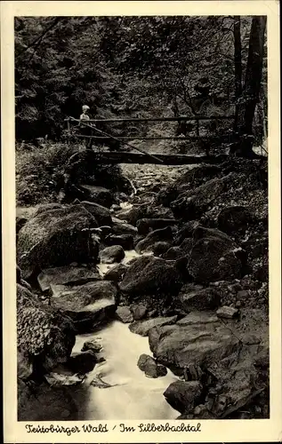 Ak Leopoldstal Horn Bad Meinberg in Lippe Teutoburger Wald, Silberbachtal