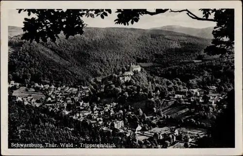 Ak Schwarzburg in Thüringen, Blick vom Trippstein
