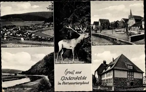 Ak Bodenfelde an der Weser, Blick vom Kahlberg, Reiherbachplatz, neue Schule, Hirsch, Weserpartie