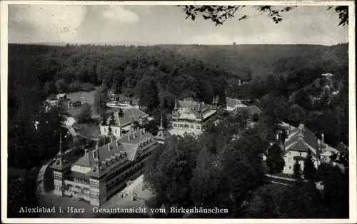 Ak Alexisbad Harzgerode am Harz, Gesamtansicht vom Birkenhäuschen