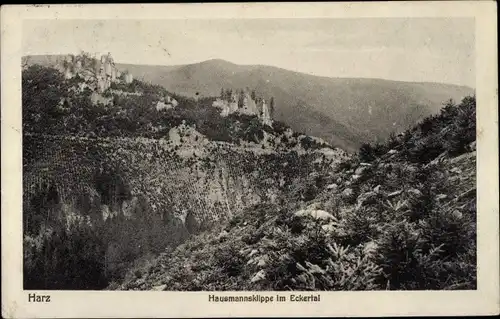 Ak Eckertal Bad Harzburg am Harz, Hausmannsklippe