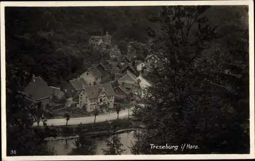 Ak Treseburg Thale im Harz, Talblick, Teilansicht