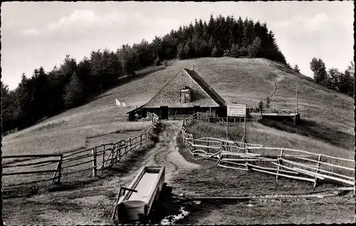 Ak Münstertal im Schwarzwald, Kälbelescheuer